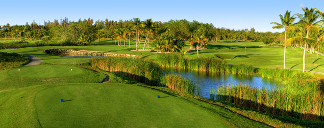 Barceló Bávaro Golf